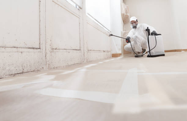 24/7 Emergency Black Mold Remediation experts in Fort Hill, PA